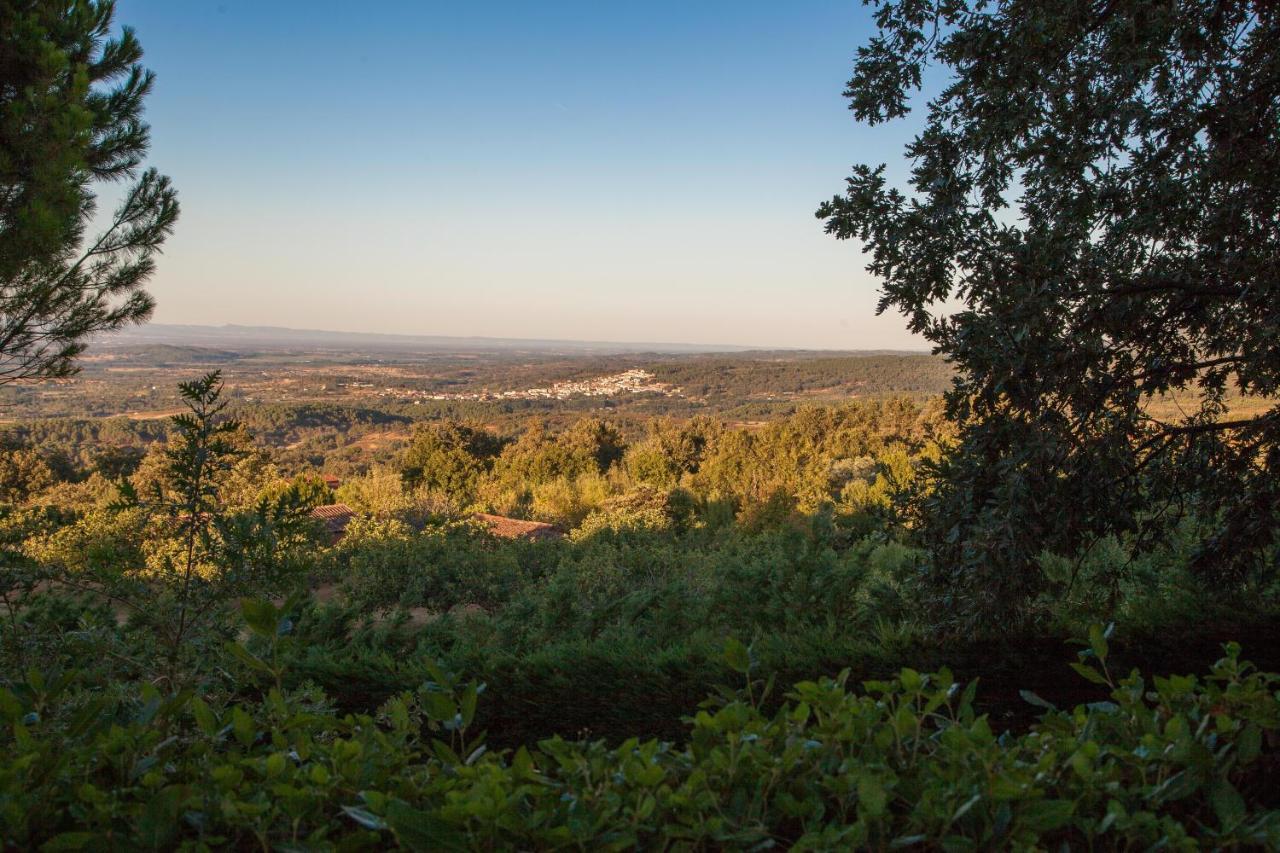 Finca La Sayuela Βίλα El Raso Εξωτερικό φωτογραφία